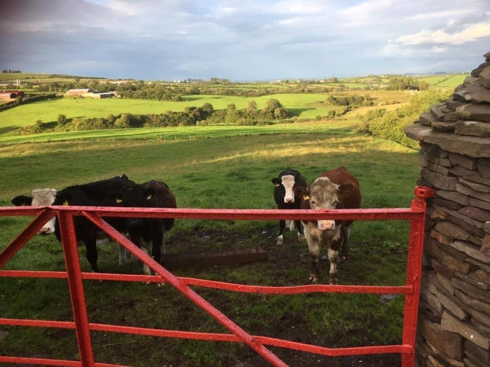 Crockgarve B And B Galbally Exterior foto