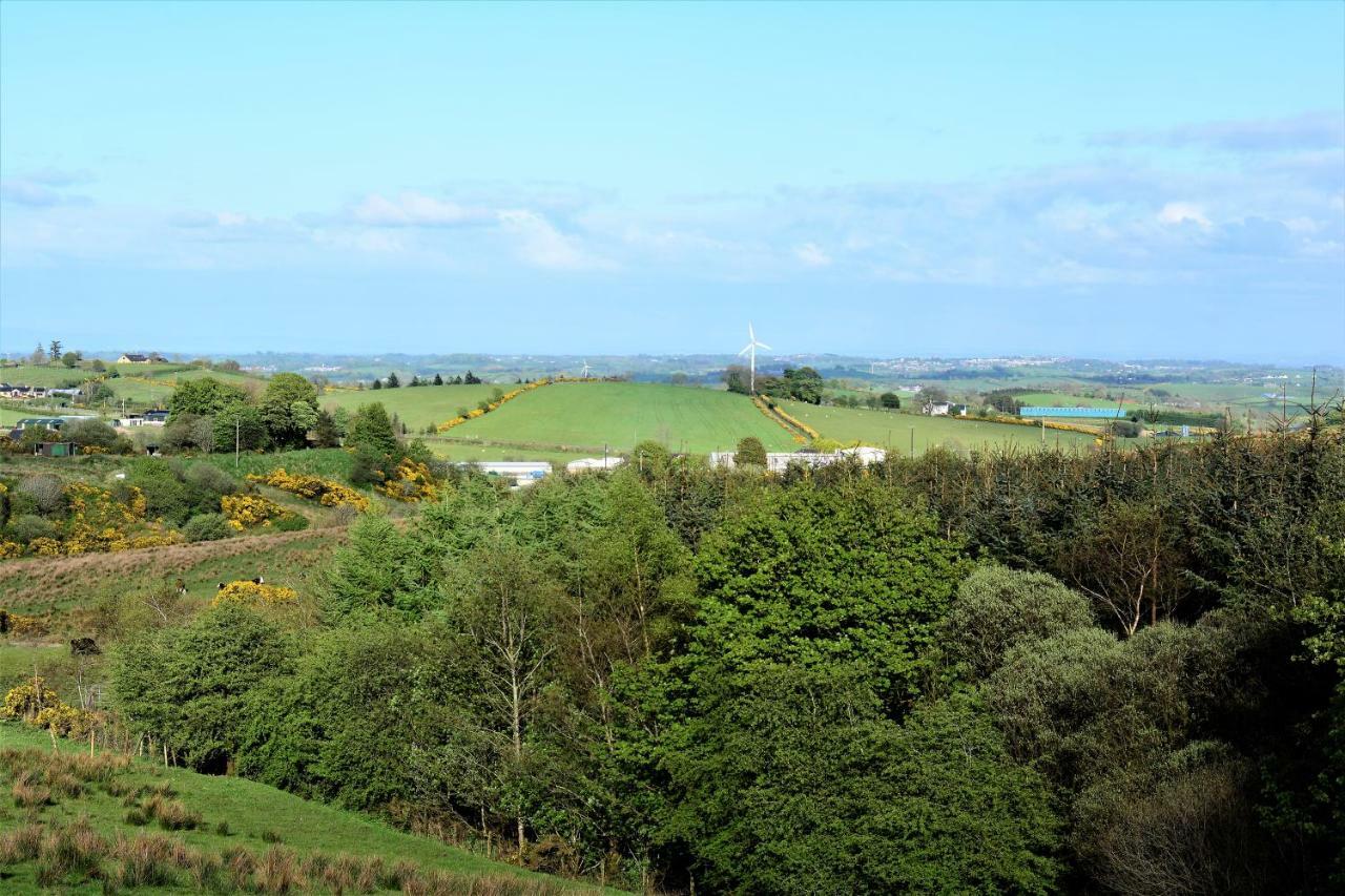 Crockgarve B And B Galbally Exterior foto